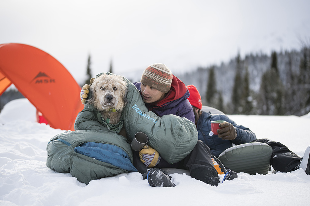 snow camping with dog