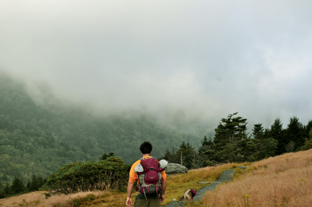backpacking with dog in wet weather