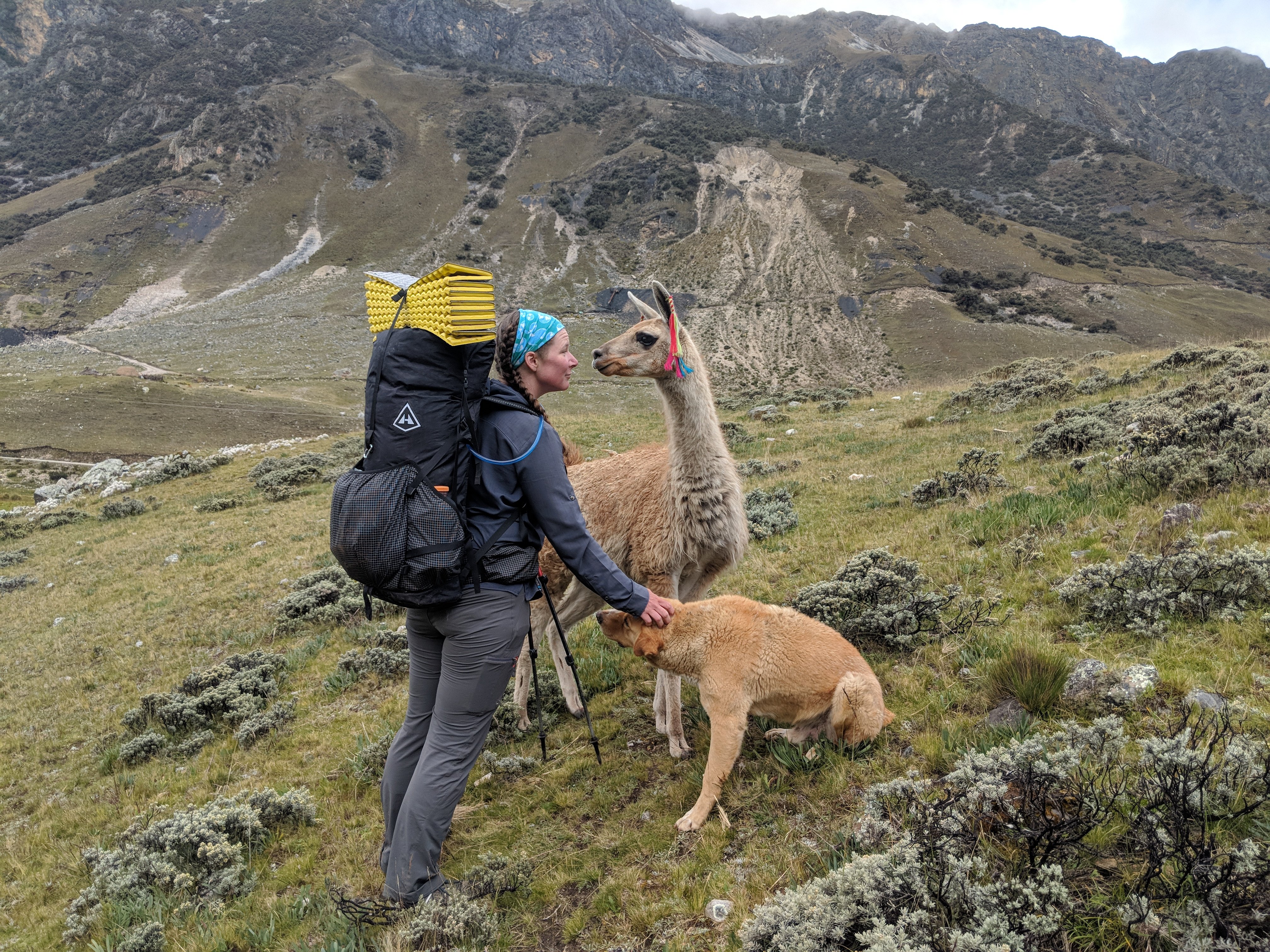 hiking with dog and alpaca