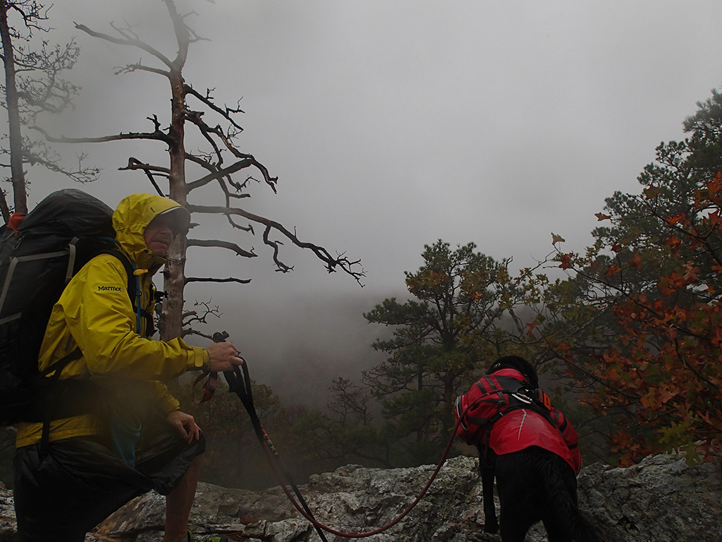 taking break on misty hike with dog