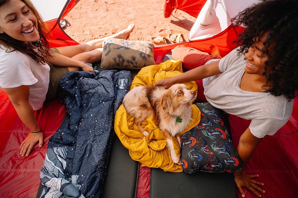 relaxing in tent on car camping trip with dog